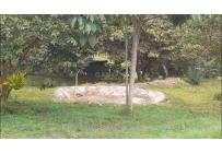 Fincas y Casas Campestres, Venta, La Cumbre - $800.000.000