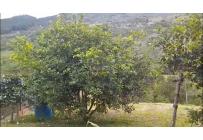 Fincas y Casas Campestres, Venta, La Cumbre - $800.000.000