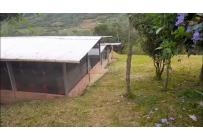 Fincas y Casas Campestres, Venta, La Cumbre - $800.000.000