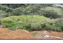 Lotes, Venta, Dapa - $770.000.000