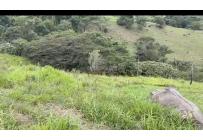 Lotes, Venta, Dapa - $770.000.000