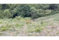 Lotes, Venta, Dapa - $770.000.000