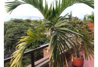 Apartamentos, Venta, La Flora - $600.000.000