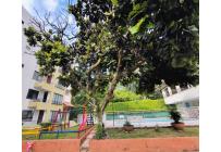 Apartamentos, Venta, El Ingenio - $320.000.000