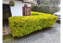 Fincas y Casas Campestres, Venta, Guatape - $380.000.000