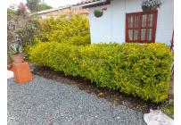 Fincas y Casas Campestres, Venta, Guatape - $380.000.000