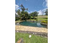 Fincas y Casas Campestres, Venta, Calima (Darién) - $1.000.000.000