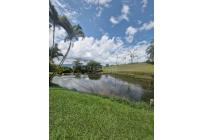 Fincas y Casas Campestres, Venta, Calima (Darién) - $1.000.000.000