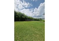 Fincas y Casas Campestres, Venta, Calima (Darién) - $1.000.000.000