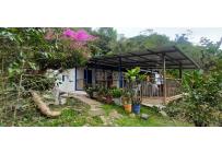 Fincas y Casas Campestres, Venta, Ginebra - $400.000.000