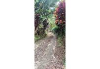 Fincas y Casas Campestres, Venta, Ginebra - $400.000.000