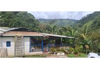 Fincas y Casas Campestres, Venta, Ginebra - $400.000.000