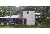 Fincas y Casas Campestres, Venta, Ginebra - $400.000.000
