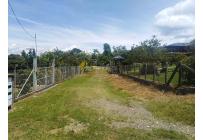 Lotes, Venta, Calima (Darién) - $150.000.000