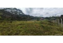 Lotes, Venta, Calima (Darién) - $150.000.000