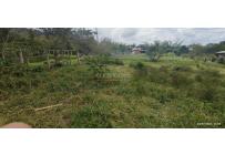 Lotes, Venta, Calima (Darién) - $150.000.000