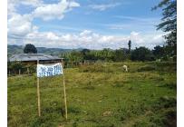 Lotes, Venta, Calima (Darién) - $150.000.000