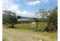 Lotes, Venta, Calima (Darién) - $150.000.000
