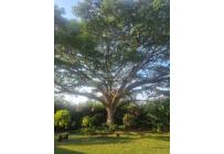 Casas, Venta, Ginebra - $680.000.000