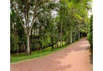 Casas, Venta, Ciudad Jardín - $1.100.000.000