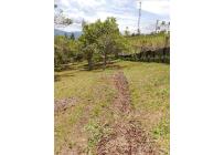 Lotes, Venta, Dagua - $320.000.000