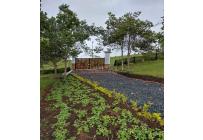 Lotes, Venta, Dagua - $320.000.000