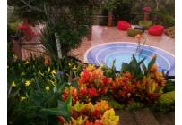Fincas y Casas Campestres, Venta, Dagua - $1.100.000.000