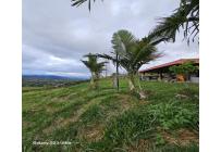 Lotes, Venta, Dagua - $400.000.000