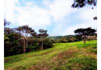 Lotes, Venta, 3 de Julio - $1.200.000.000