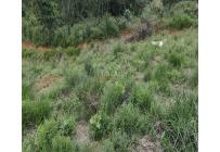 Lotes, Venta, Villacarmelo - $270.000.000