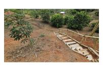 Fincas y Casas Campestres, Venta, La Cumbre - $135.000.000
