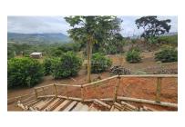 Fincas y Casas Campestres, Venta, La Cumbre - $135.000.000