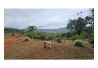 Fincas y Casas Campestres, Venta, La Cumbre - $135.000.000