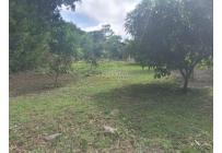 Edificios, Venta, El Cerrito - $400.000.000