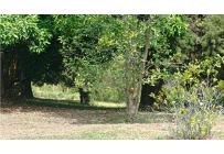 Lotes, Venta, Pance - $2.100.000.000