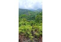 Lotes, Venta, Pance - $2.100.000.000