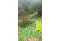 Lotes, Venta, Pance - $2.100.000.000