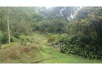 Lotes, Venta, Pance - $2.100.000.000
