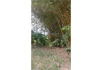 Lotes, Venta, Pance - $2.100.000.000