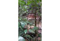 Lotes, Venta, Pance - $2.100.000.000