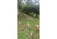 Lotes, Venta, Pance - $2.100.000.000