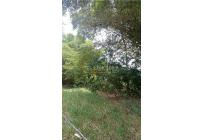 Lotes, Venta, Pance - $2.100.000.000