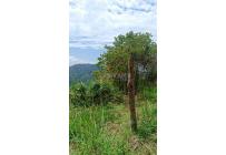Lotes, Venta, Pance - $2.100.000.000