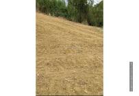 Lotes, Venta, Tuluá - $160.000.000