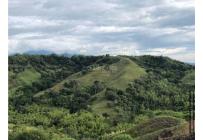 Lotes, Venta, Tuluá - $160.000.000