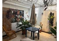 Casas, Venta, El Lido - $480.000.000