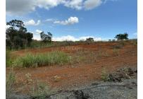 Lotes, Venta, Ciudad Jardín - $6.500.000.000