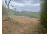 Lotes, Venta, Calima (Darién) - $650.000.000