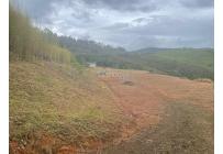 Lotes, Venta, Calima (Darién) - $650.000.000