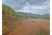 Lotes, Venta, Calima (Darién) - $650.000.000